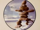 RUSH 'Test For Echo' PICTURE DISC LP  The RAREST Rush Picture Disc in Existence