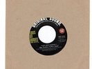 Bobby Fuller Four-Let Her Dance/Bill Parsons-All American Boy (Mint)  reissue