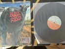 blink 182 Dude Ranch Deluxe SRC Limited vinyl record
