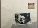 Fleetwood Mac - Tusk Limited Edition Deluxe Format