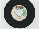 TUFF GONG/ SUN IS SHINING // RUN FOR COVER - THE WAILERS (71 REGGAE ROOTS 7