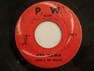 PETER & WOLVES HEY MAMA 45 INSANELY RARE 1967 PRIVATE PUNKY NUGGETS GARAGE FUZZ