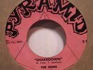 THE HUNS SHAKEDOWN I KNOW 1966 N. CAROLINA GARAGE BAND 7