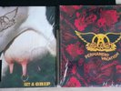 Aerosmith Get A Grip Doppel Vinyl + Permanent Vacation LP Wie Neu
