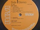 Riff Raff LP Same UK RCA 1st Press BEAUTIFUL VINYL & AUDIO PROG MASTERPIECE RARE