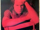 Mark Lanegan ‎– The Winding Sheet (D 90,Glitterhouse Records ‎– GR 0095)  Lp 12