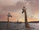 Carrie Newcomer - Permeable Life (Vinyl LP - 2014 - US - Original)