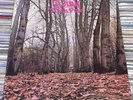 TWINK Think Pink 1970 UK POLYDOR RECORDS VINYL LP 2343 032