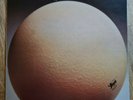 Egg LP The Civil Surface UK Caroline 1st Press BEAUTIFUL COPY RARE LIKE THIS