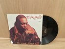 D´Angelo - Brown Sugar 2LP USA 1995