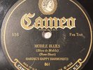 Varsity Eight - Haring's Happy Harmonists CAMEO 516 MOBILE BLUES HOT prewar jazz