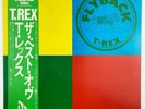 T.Rex • Flyback The Best Of • JAPAN Press w/ OBI • vinyl record LP NM M-
