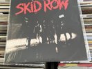 Skid Row - S/T Self-Titled [Silver Vinyl] NEW Sealed Vinyl LP Album