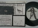 THEM RHYTHM ANTS Them Rhythm Quails RARE US art punk 7