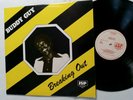 Buddy Guy-Breaking Out-Chicago Blues Guitar-1980 LP-JSP 1017 UK IMPORT-VG+