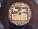 Vocalion 02865 Bumble Bee Slim COLD BLOODED MURDER  78 rpm Blues 1934 V