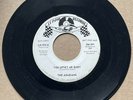 Arabians NORTHERN SOUL 45 You Upset Me Baby / Take A Chance On Me LEMANS DJ HEAR