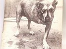 Alice In Chains Double Vinyl  Album & Inner sleeves LP Artwork Sleeves#669