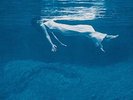 Bill Evans & Jim Hall ‎- Undercurrent LP 180 Gram Vinyl Record + 2 BONUS SONGS