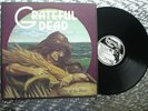 Grateful Dead    Wake Of The Flood   1st Press LP Grateful Dead Records ‎GD01