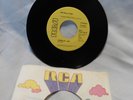 RARE JIM SULLIVAN Highway /Lorelei Lee 45 RPM Promo Light In The Attic Documenta