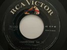 PALITO ORTEGA - Amanecere Sin Ti - KILLER PSYCH GARAGE MEXICO PRESS 45