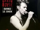 David BOWIE - Ouvrez Le Chien (Live Dallas 95) Vinyl LP Record