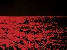 Disassembler - A Wave From A Shore (Bleeding Glacier) WV236LPC1
