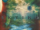 The Horrors - Skying (Special Edition) 2X 12