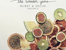 The Wonder Years-Burst & Decay (Volume Ii) (UK IMPORT) VINYL LP NEW