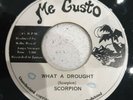 Scorpion What A Drought 7