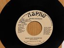 Diana Warden Detroit Pop Soul 45 More sad Goodbye bw Take Me High Otis G Johnson