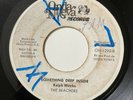 THE BEACHERS - Something Deep Inside / SWEET SOUL PANAMA 45