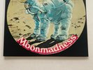 Camel - Moonmadness - Used Promo LP - US 1976 Janus JXS-7024 - NM Vinyl/EX Cover