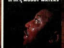 The Best Of Muddy Waters LP 1957 original Chess black label excellent condition