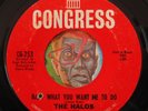 HEAR Halos 45 Baby What You Want Me To / Hey Love Me CONGRESS northern soul R&B