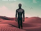 Like Moths To Flames-Dark Divine (UK IMPORT) VINYL NEW