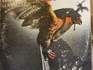 Budgie In For the Kill Vinyl 1974 MCA429 VG