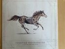 A Long Way From Your Heart by Turnpike Troubadours Clear Vinyl 2xLP