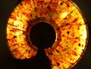 ZAPPA/BEEFHEART CONFIDENTIAL on El Wizardo 365 Fiesta Color vinyl MOTHERS 1976
