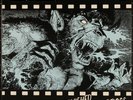 LP Holy Moses – Finished With The Dogs -  Aaarrg Records - Trash Metal