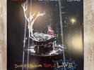Panic at the Disco ALL MY FRIENDS WE'RE GLORIOUS Death of a Bachelor LIVE Vinyl