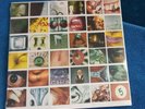 Pearl Jam No Code Factory Sealed Vinyl LP 1st Pressing E67500