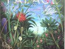 Palace - Life After Hand Signed Vinyl Album Record Autographed New