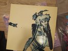 enigma variations Record