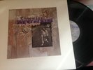 Throwing Muses – University - original vinyl from 1995 - includes poster
