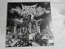 INSECT WARFARE World Extermination LP reissue Iron Lung Records Hatred Surge