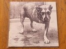 ALICE IN CHAINS - Self Titled - Tripod -Three Legged Dog 1995 NM-M