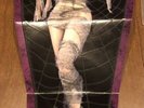 ELVIRA’s Movie Macabre Theme Song 45 Picture Disc Black Belles Third Man Records