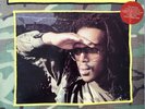 RAYMOND NAPTALI - TROUBLE POSSEE LP YELLOW VINYL RARE DUB REGGAE RANKING CHEMIST